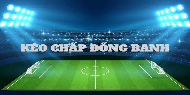 Kèo Châu Á là gì? Một số dạng kèo phổ biến và cách tính tiền Kèo đồng banh trong kèo châu Á