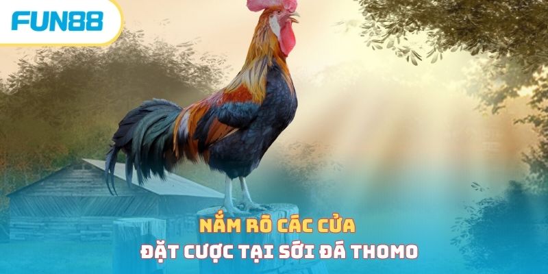 Đá Gà Campuchia - Sân Chơi Gay Cấn, Hồi Hộp Bậc Nhất Châu Á Các cửa cược Meron, Wala, BDD trong đá gà Campuchia