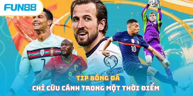 Sai Lầm Khi Cược Bóng Đá - Lưu Ý Quan Trọng Cần Ghi Nhớ Sai lầm khi mua tip bóng đá